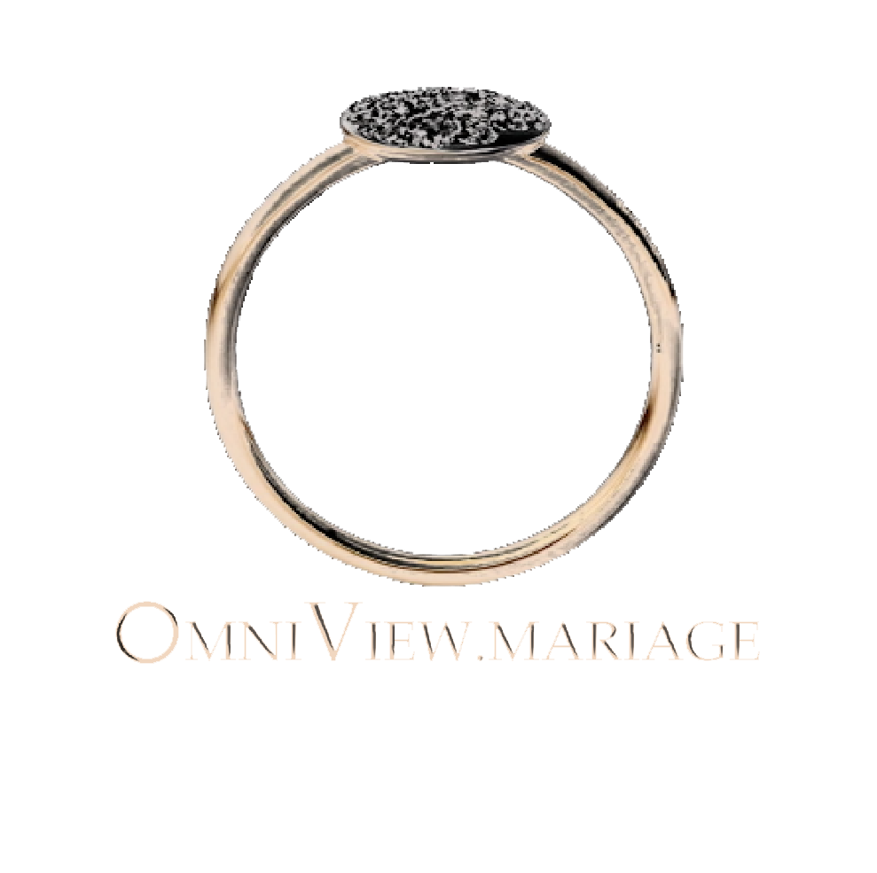 Logo omniview mariage